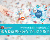 探索有效途徑，打造新型能力——棟方股份兩化融合工作亮點(diǎn)紛呈